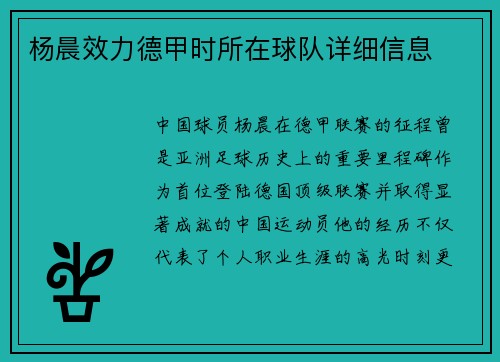 杨晨效力德甲时所在球队详细信息